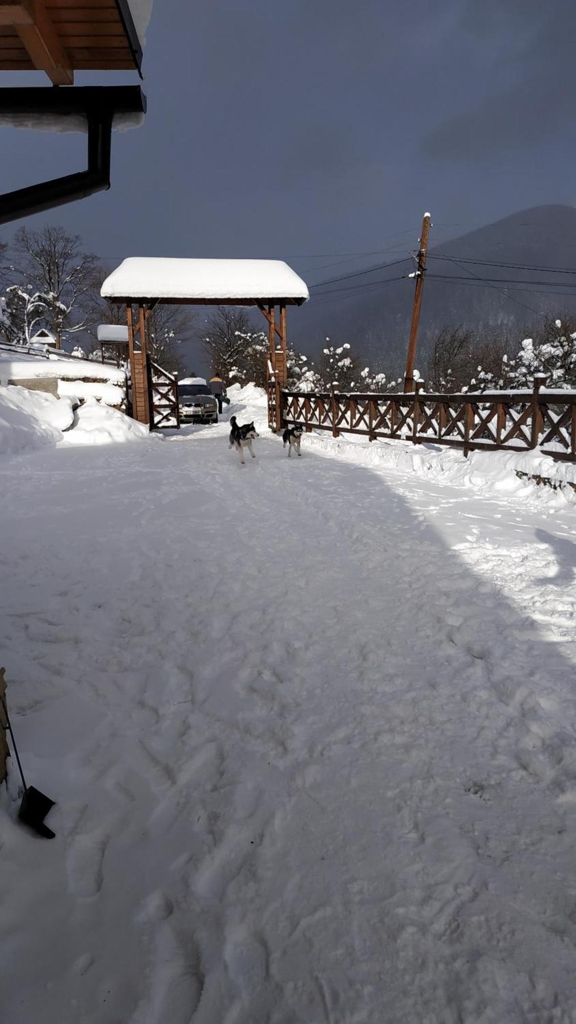 Sadyba Chertizh タターリウ エクステリア 写真